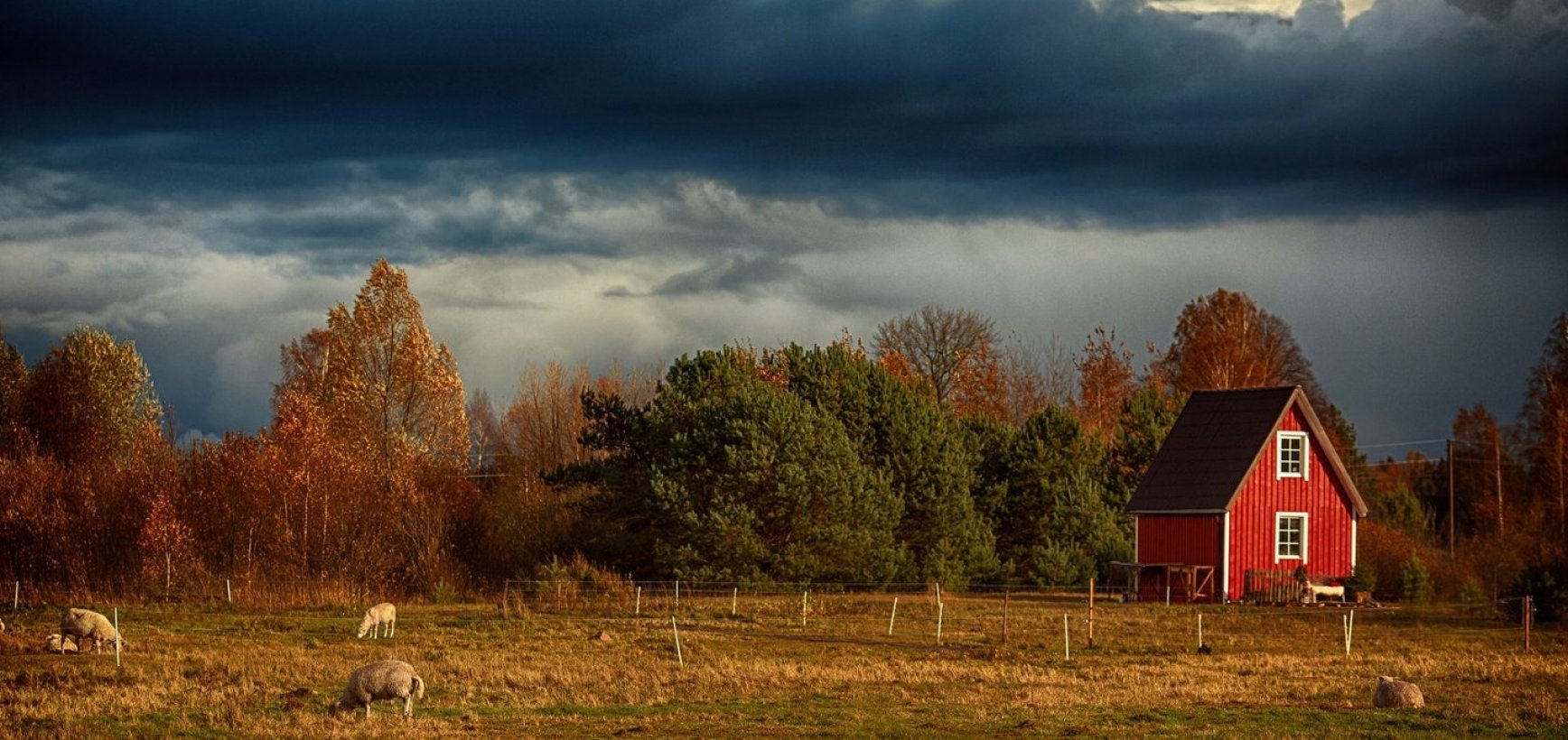 Ąžuolų Būdoje įsikūrusi šeima mieste ateities nematė: „Gyvenimas kaime – viso gyvenimo svajonė“