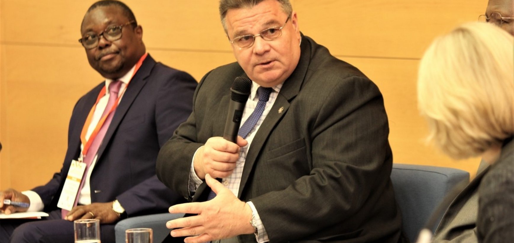 Įvyko tarptautinė Afrikos ir ES partnerystės konferencija