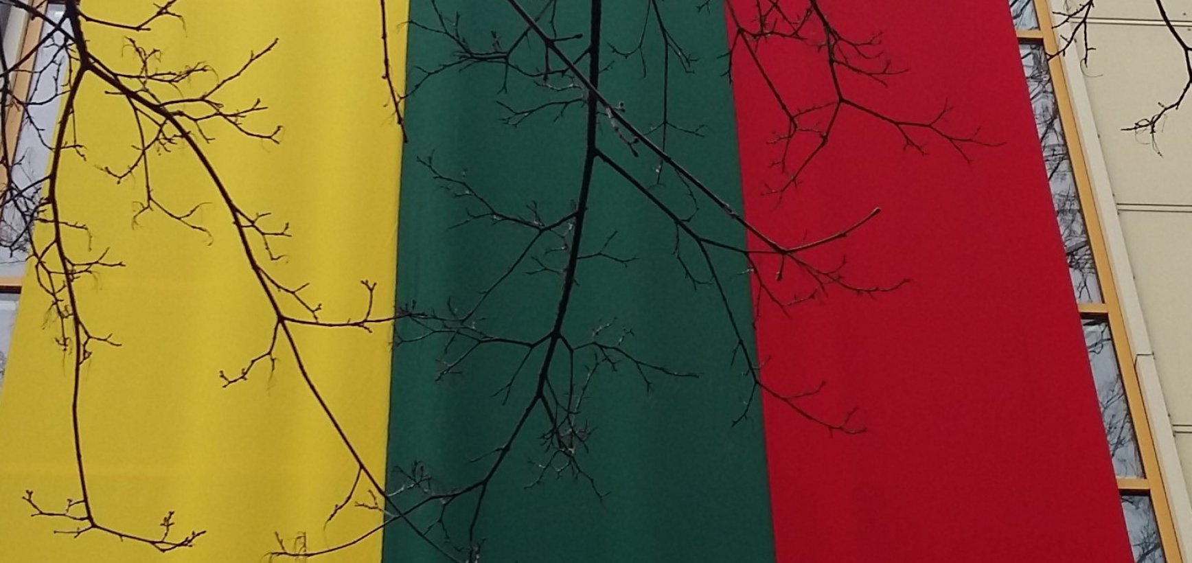 Sveikiname su Kovo 11-ąja