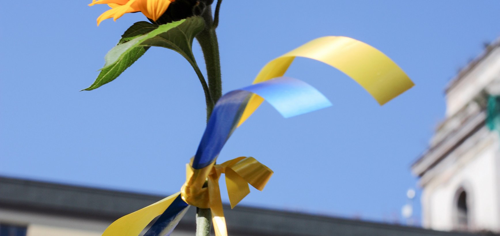 Ukrainos ir Lietuvos ekspertai aptars mokyklų rekonstrukcijos Ukrainoje ateitį