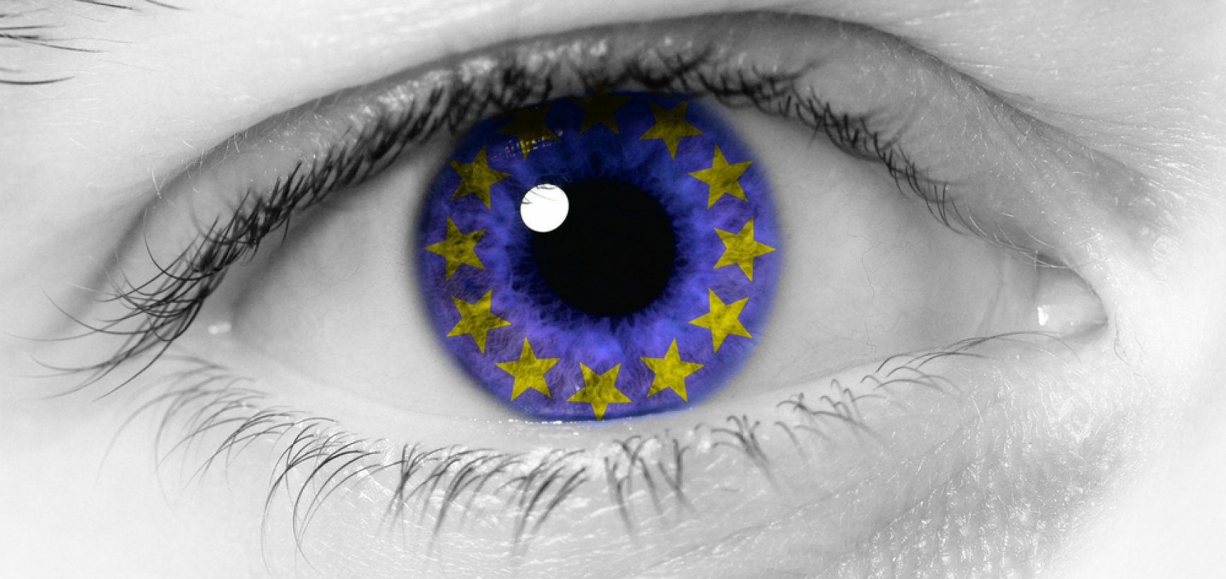 Kokią vertę kuria ES viešojo valdymo patirtis?