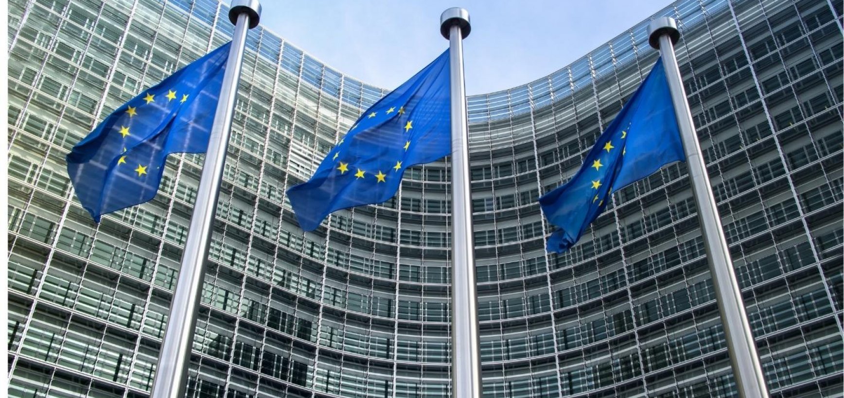 Auditas patvirtino: CPVA atitinka aukščiausius tarptautinius kokybės standartus