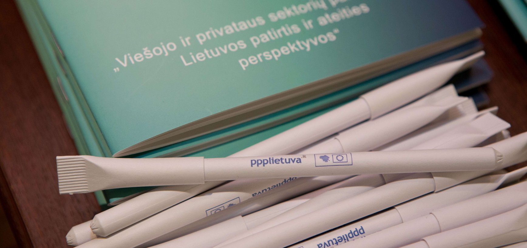 PPP Lietuvoje įgauna pagreitį