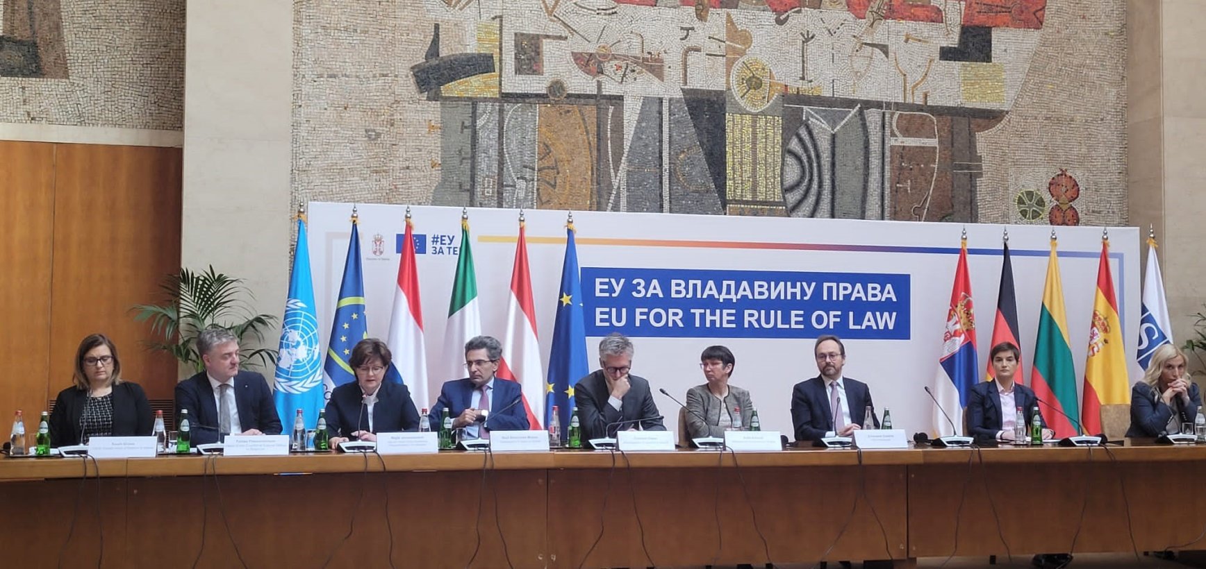 CPVA tarptautiniai projektai: kaip ir ES