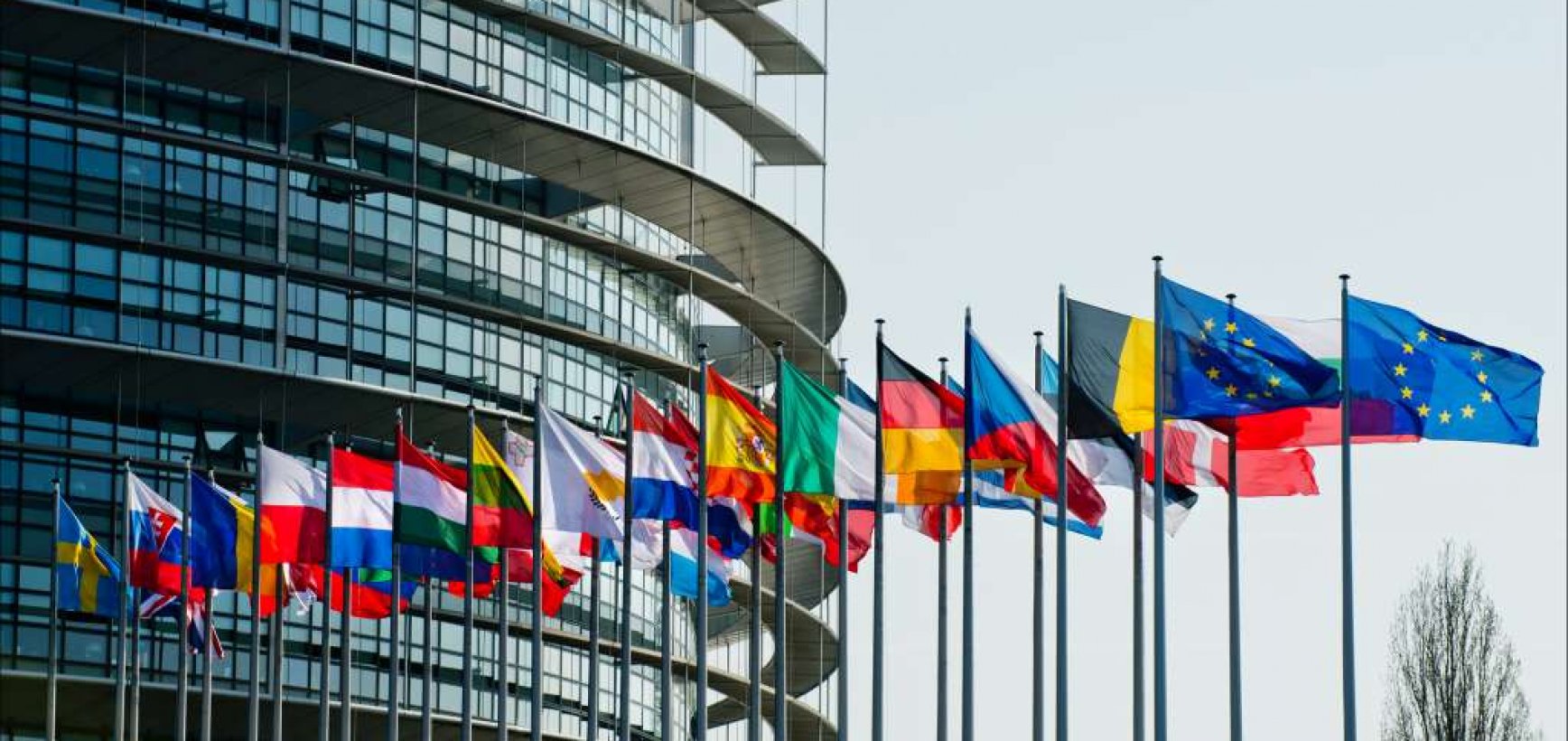 CPVA teikiamas paslaugas ES Dvynių projektų dalyviai įvertino itin teigiamai