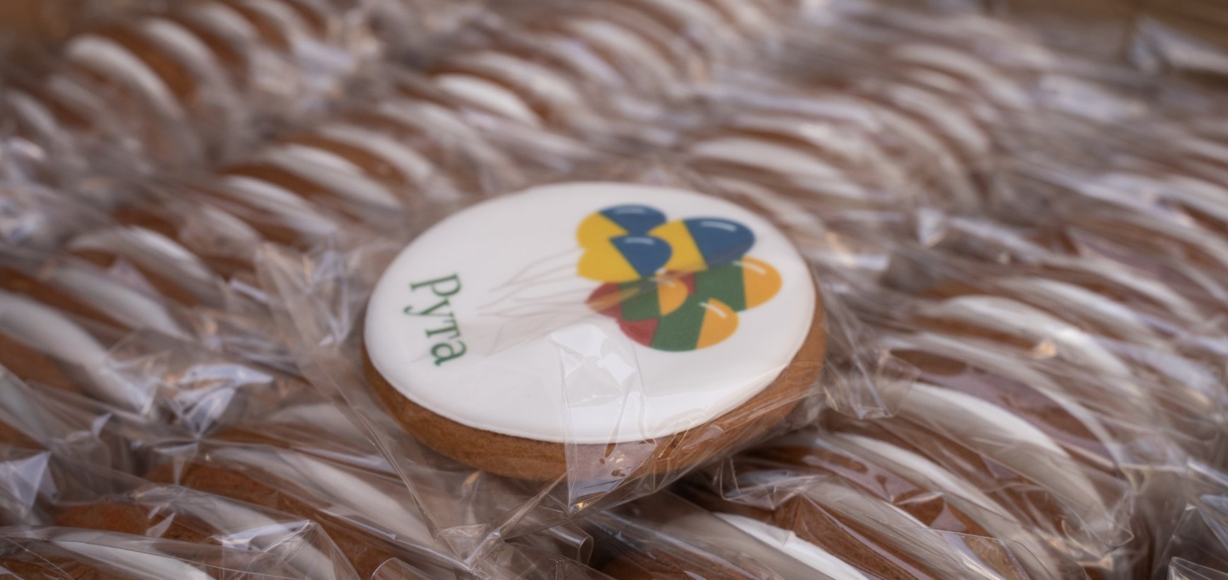 Irpinėje duris atvėrė Lietuvos lėšomis atstatytas vaikų darželis „Rūta"