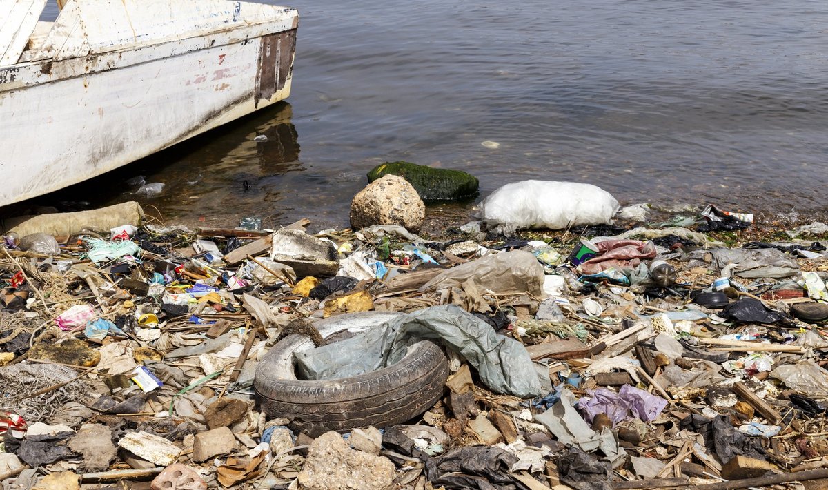 9d598d26-5b26-4fa4-887c-44b8abd219e4