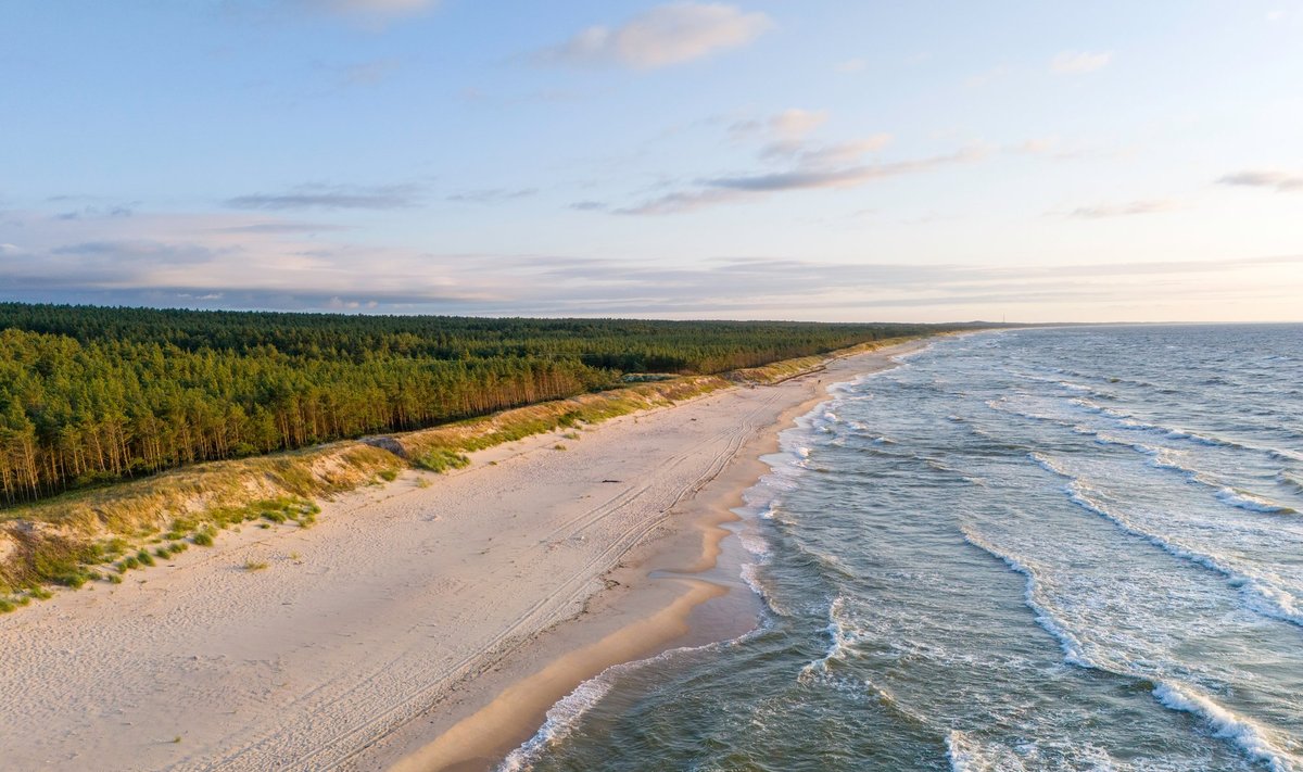 b2865877-f843-4864-a382-b30c92769b65