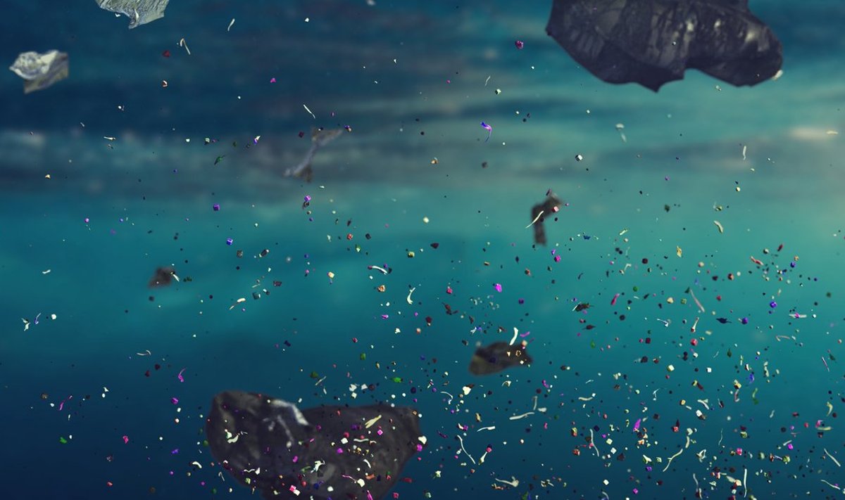 ffb5c307-384c-451e-8aa7-6b9e62cbf1f4