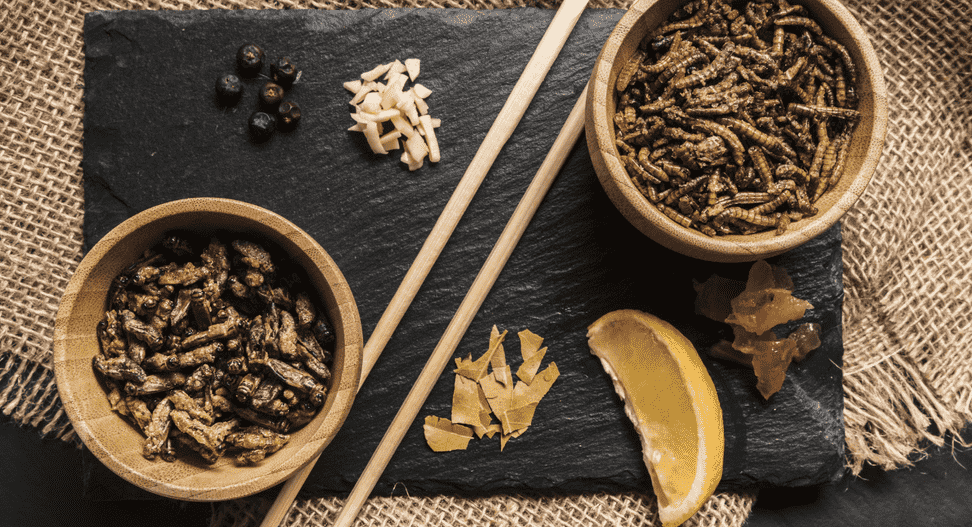 9461c6426eab1999ed5962d5c84bd274ad42baeefefbc0a486b6b174732f16d2-transformed