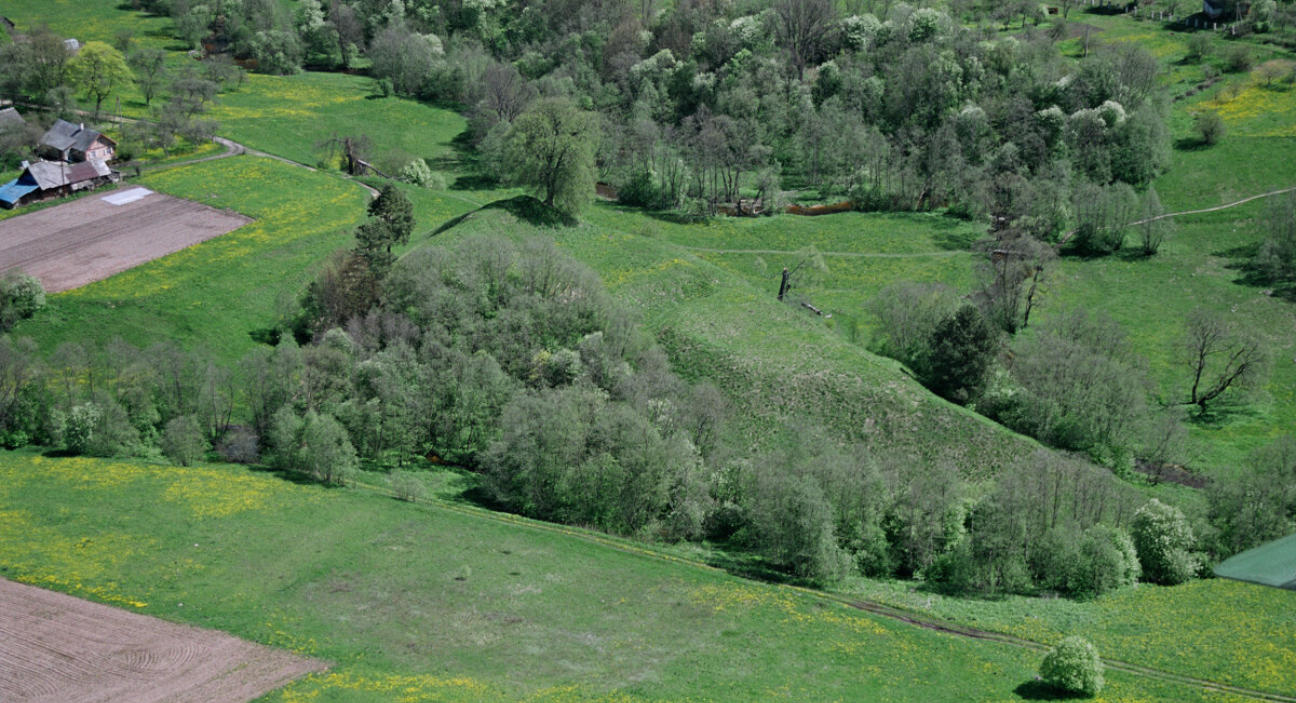 d489b5ad0352762f36699684d2d9bb7dfb8f95765359ddbf7ac268f4f1d1b2b0